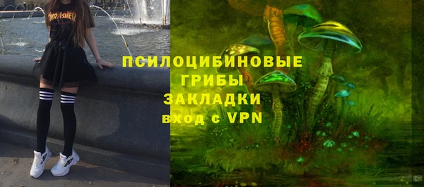 шишки Бородино