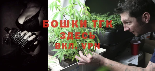 прущие грибы Бронницы