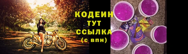 прущие грибы Володарск