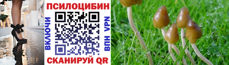 где купить наркоту  Верхний Уфалей  Галлюциногенные грибы ЛСД 
